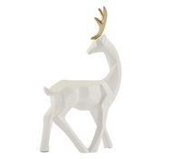 Imagen en miniatura del producto