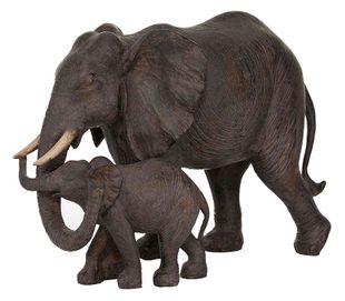 Imagen en miniatura del producto